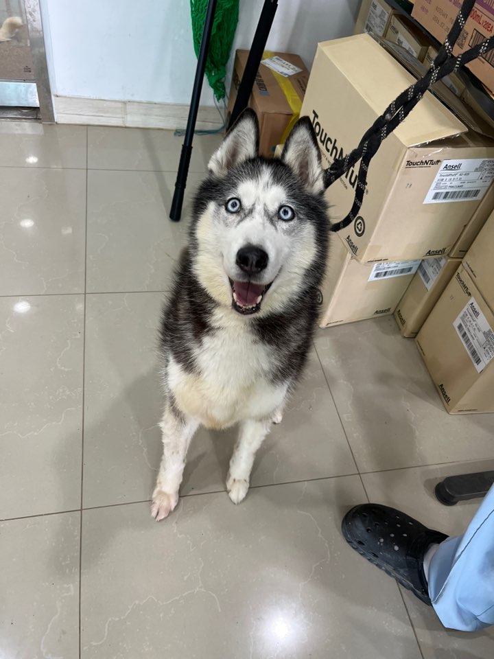 반려동물보호센터_443571202501777